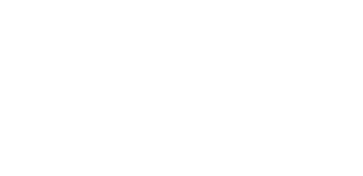 Logo wirtualna polska